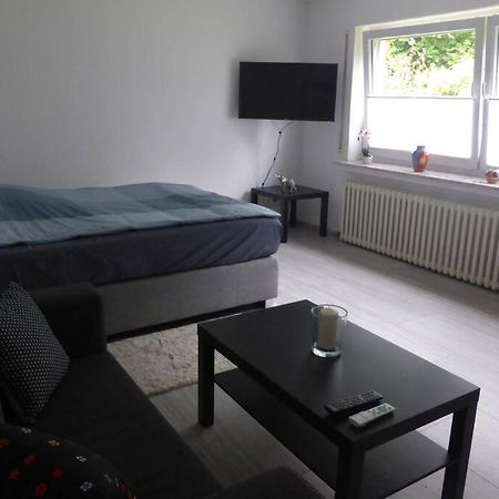 Emmerthal Wunderschone Komplett Neu Eingerichtete Wohnung מראה חיצוני תמונה